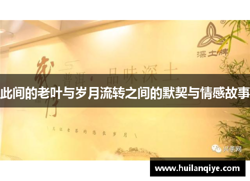 此间的老叶与岁月流转之间的默契与情感故事